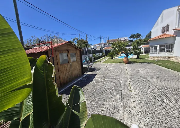 Stylish By Homing سيسيمبرا