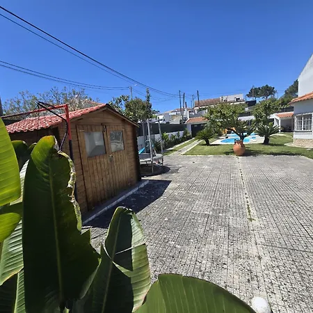 Stylish By Homing Σεσίμπρα